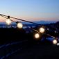 Allsop 25ft LED G40 Bistro String Lights with 25 Bulbs - Black