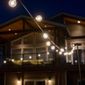 Allsop 25ft LED G40 Bistro String Lights with 25 Bulbs - Black