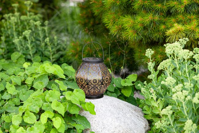 Allsop Daisy Punched Metal Solar Lantern - Black