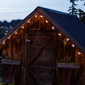 Allsop Starry Night Solar String Lights