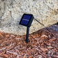 Allsop Starry Night Solar String Lights