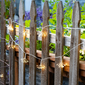 Allsop Starry Night String Lights - Plug In
