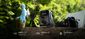 EcoFlow Trail 300 DC Portable Power Station - 288Wh
