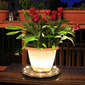 Gama Sonic Grand Solar Uplight Planter Base - Wireless Accent Light for Pots & Garden Decor in Brown