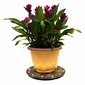 Gama Sonic Grand Solar Uplight Planter Base - Wireless Accent Light for Pots & Garden Decor in Grey