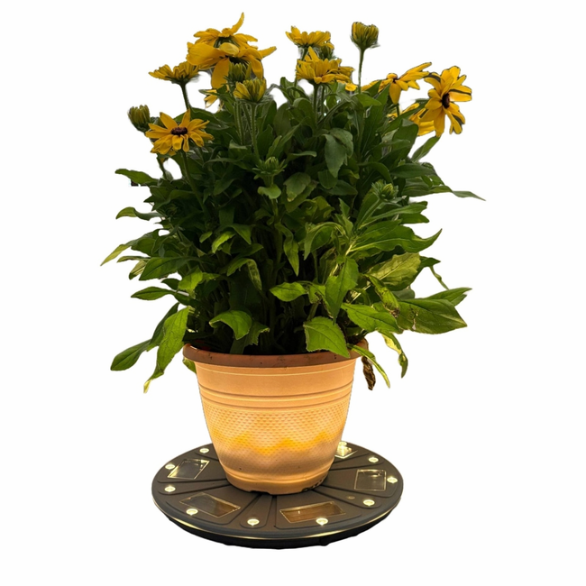 Gama Sonic Grand Solar Uplight Planter Base - Wireless Accent Light for Pots & Garden Decor in Grey