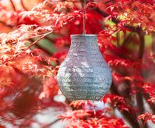 Soji Stella Bulb - 8 Inch Solar Lantern in Sage