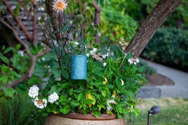 Soji Stella Cylinder Metallic Emerald Lantern