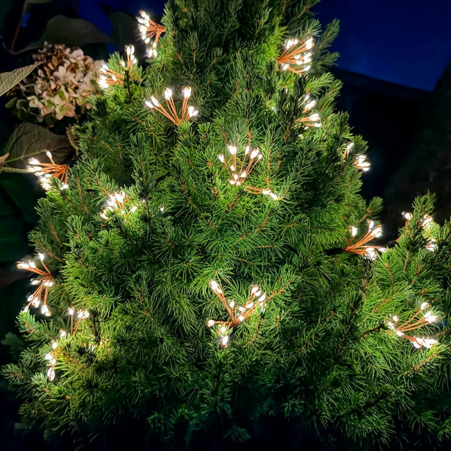 Allsop Starry Night Solar String Lights