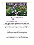 Gift Certificate Template