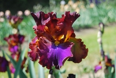 La Fortune La Fortune