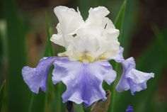 Stairway To Heaven Stairway To Heaven