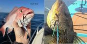 Submission Fishing Micro Jigs