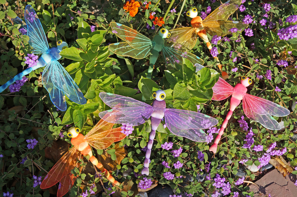 Dragonfly Picks **CLOSEOUT 0.95**