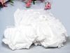 Double-Seat Panties Sample Pack