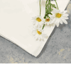 Ultra Premium Flour Sack Towels - Extra Large