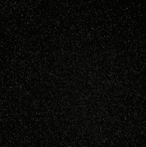 5001 Black Cut Pile Automotive Carpet