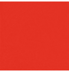 All Star American Beauty