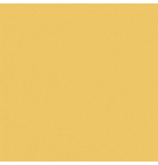 All Star Butternut Discontinued