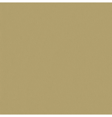 All Star Gobi Desert