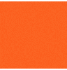 All Star Koi OUT OF STOCK