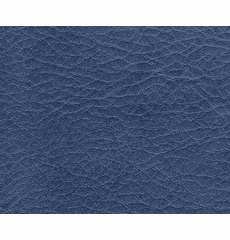 Allegro Brittany Blue