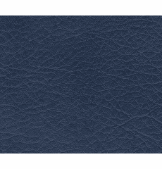Allegro Capri Blue