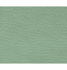 Allegro Sage Green