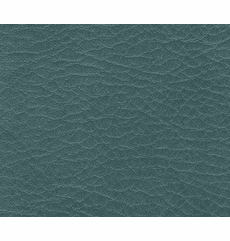 Allegro Shadow Green