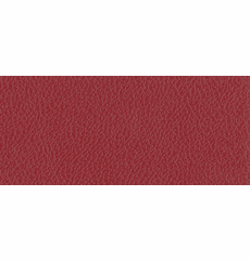AllSport "Aztec Red"