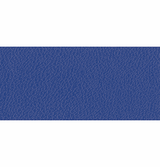 AllSport "Royal Blue"