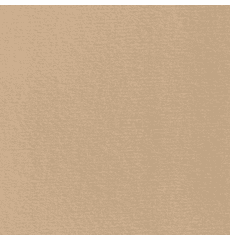 Auto Headliner Brushed Knit Light Desert Tan BH 1778