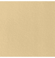 Auto Headliner Brushed Knit Light Quicksilver BH 1747X