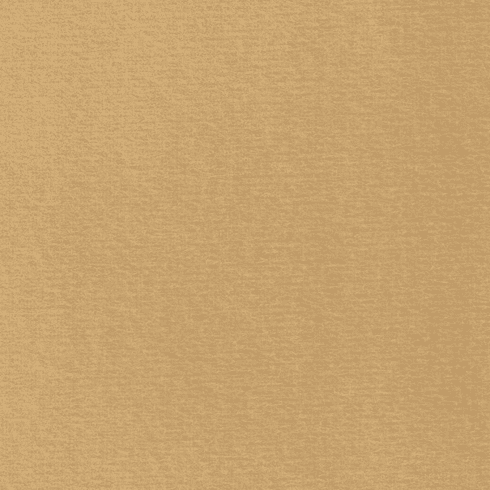 Auto Headliner Brushed Knit Medium Sand BH 1797