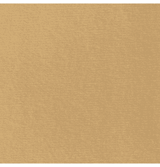 Auto Headliner Brushed Knit Medium Sand BH 1797