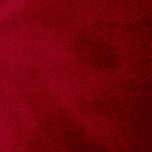 Automotive Velvet