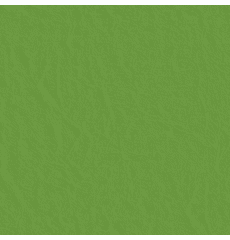 Capitano Parakeet