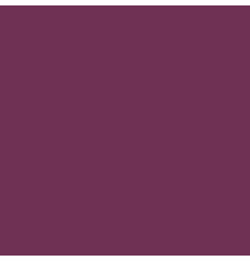 Capitano Wild Orchid