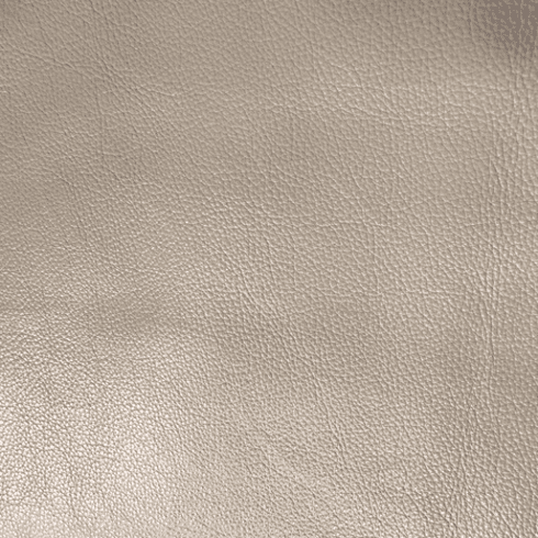 Catarina Caf Latte Leather Hide