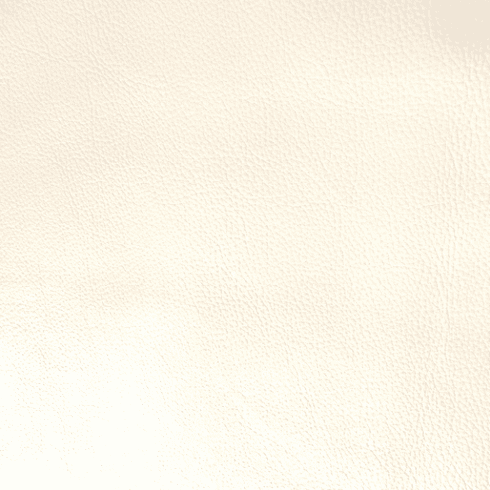 Catarina SP Ice Leather Hide