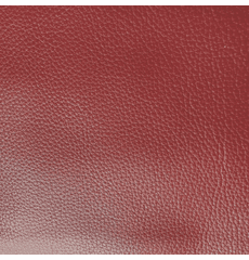 Catarina SP Red Leather Hide