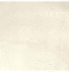 Catarina White Leather Hide