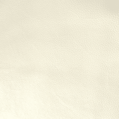 Catarina White Leather Hide