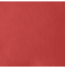 Fusion Red DISCONTINUED