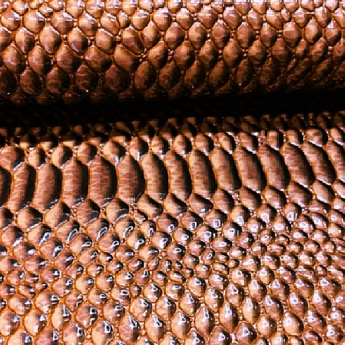 Glossy Mamba Brown