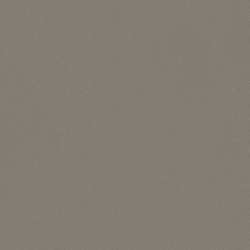 Grand Cayman Rhino CC