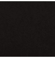 Hamilton Black BEING DISCONTINUED