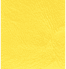 Key West Bright Yellow