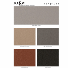 Longitude Faux Leather (OEM GM Vinyl)