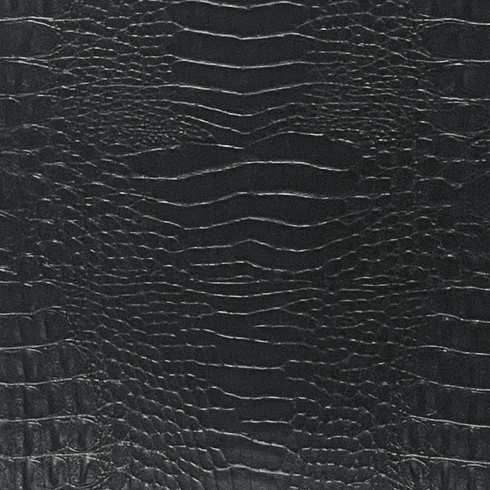 Marine Big Crocodile Black